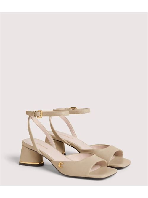 coccinelle c-everyday smo COCCINELLE | E4 U1L 36 01 01.N64